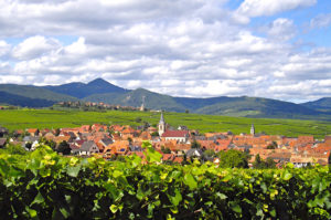 Beblenheim, jolie petit village Alsacien situé sur la Route des Vins à 2km de Riquewihr et 10km de Colmar. Vue sur le vignoble, les maisons à colombages et l'eglise avec en arrière plan le massif des vosges.